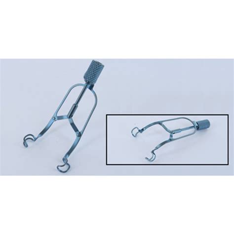 little caprice speculum|Little caprice speculum .